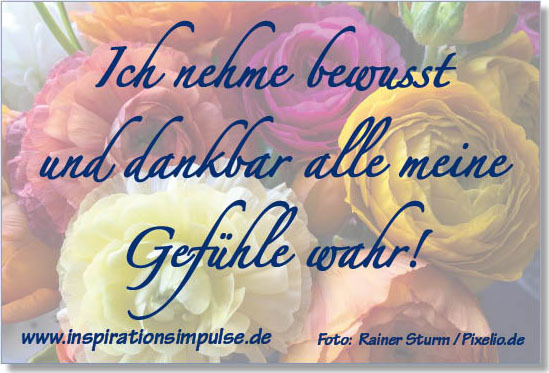 Ich nehme bewusst und dankbar alle meine Gefühle wahr
