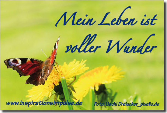 Mein Leben ist voller Wunder! inspirationsimpulse.de