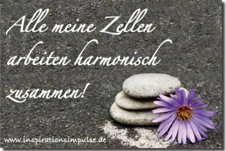 alle-meine-zellen-arbeiten-harmonisch-zusammen