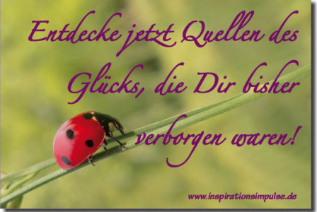 entdecke-jetzt-quellen-des-gluecks-die-dir-bisher-verborgen-waren-inspirationsimpulse